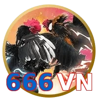 666VN